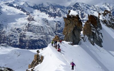 Suggestion Hiver 2015